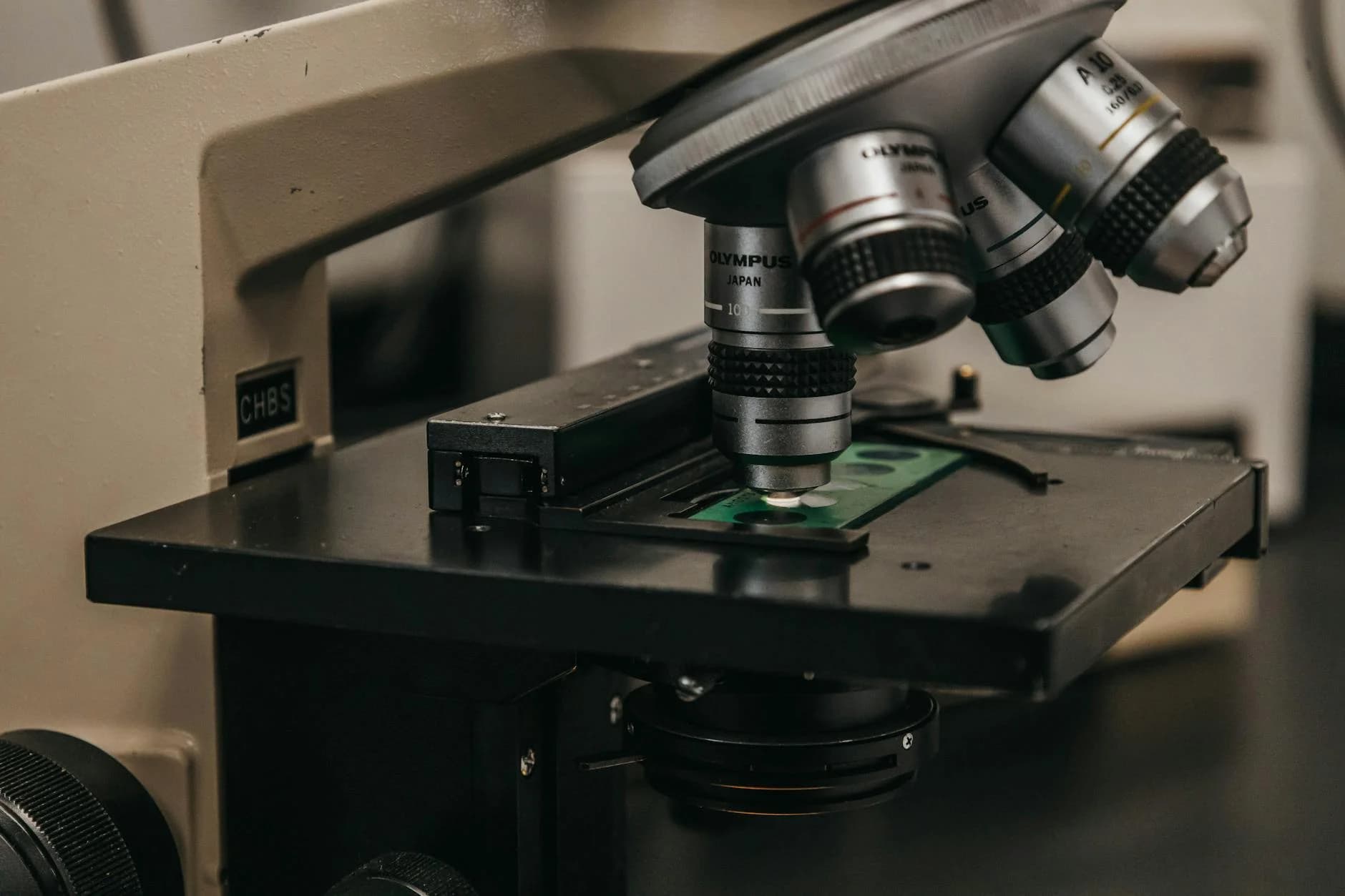 Azoospermia — Sperm Retrieval Options & IVF Outcomes