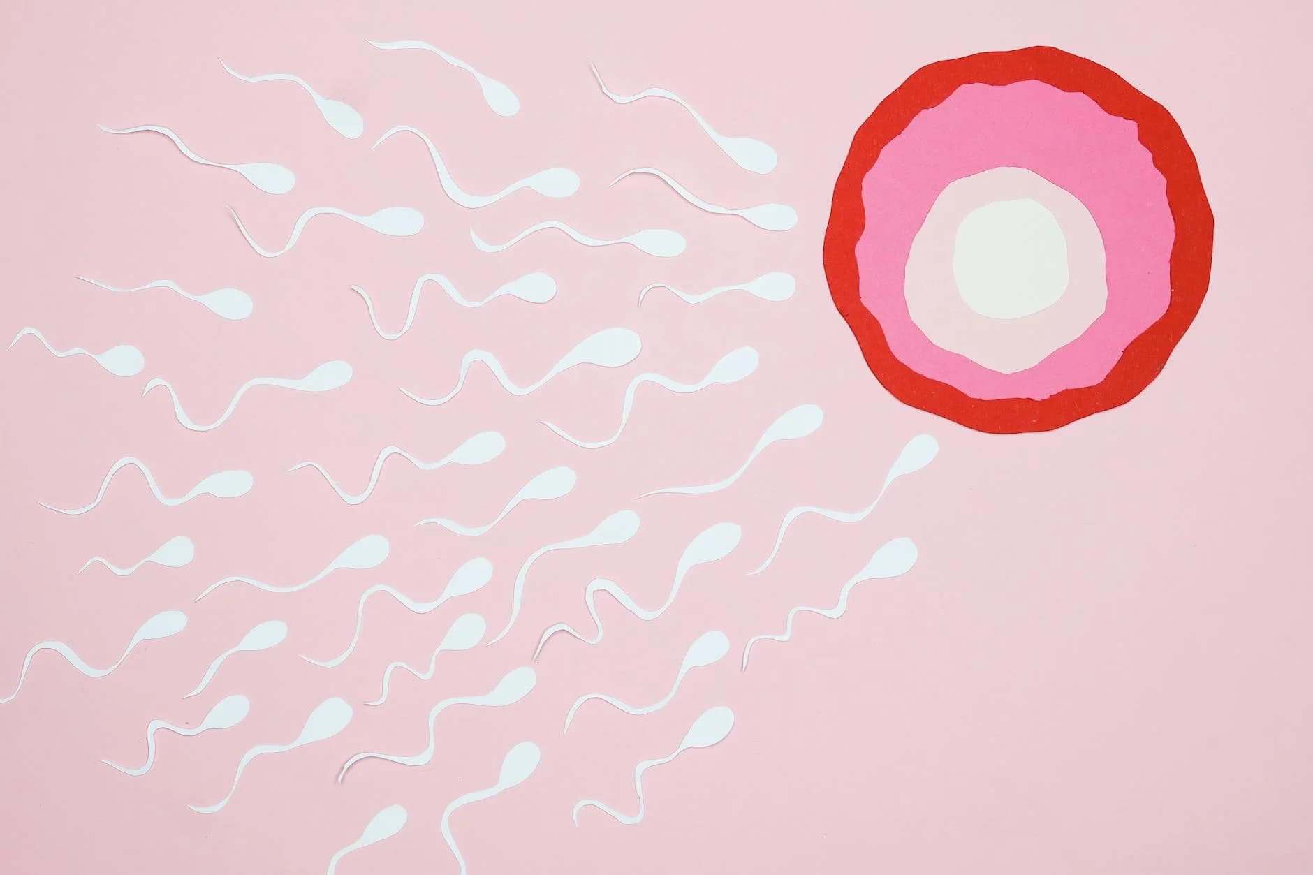 IVF Success Rates by Age — What CDC Data Shows